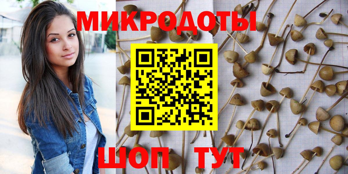 Галлюциногенные грибы Psilocybe Усть-Илимск