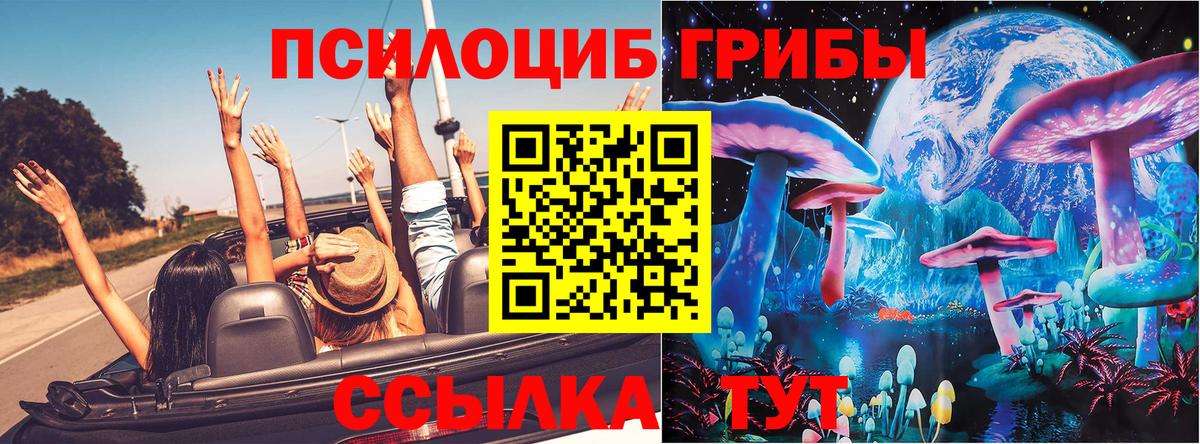 Псилоцибиновые грибы ЛСД  Галлюциногенные грибы GOLDEN TEACHER  Усть-Илимск 