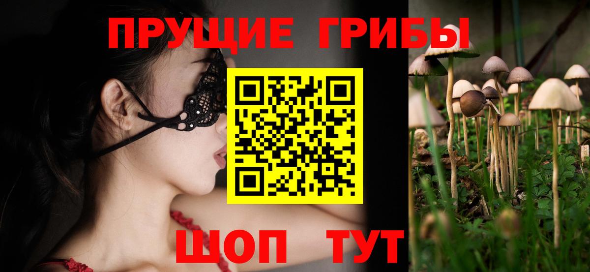 Псилоцибиновые грибы Cubensis  Вход с VPN  Усть-Илимск 